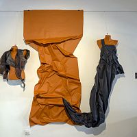 IMG-9539