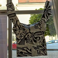 IMG-9544