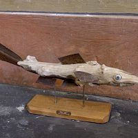 IMG-9441