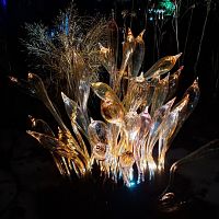 Jiří Pačinek: Křišťálová zahrada