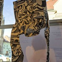 IMG-9542