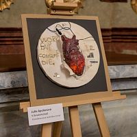 IMG-9493
