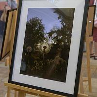 IMG-9471