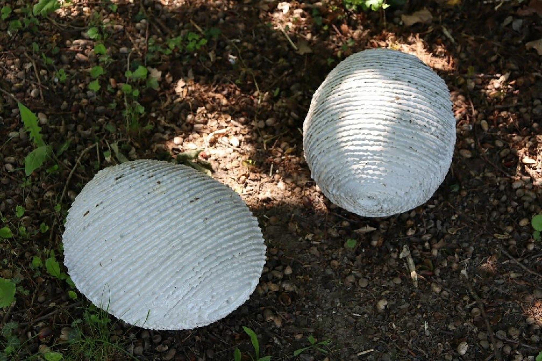 20210606172238-3872d5ae-la