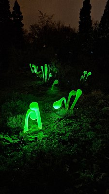 20260206-192740