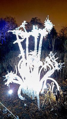 20260206-195003