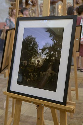 IMG-9471