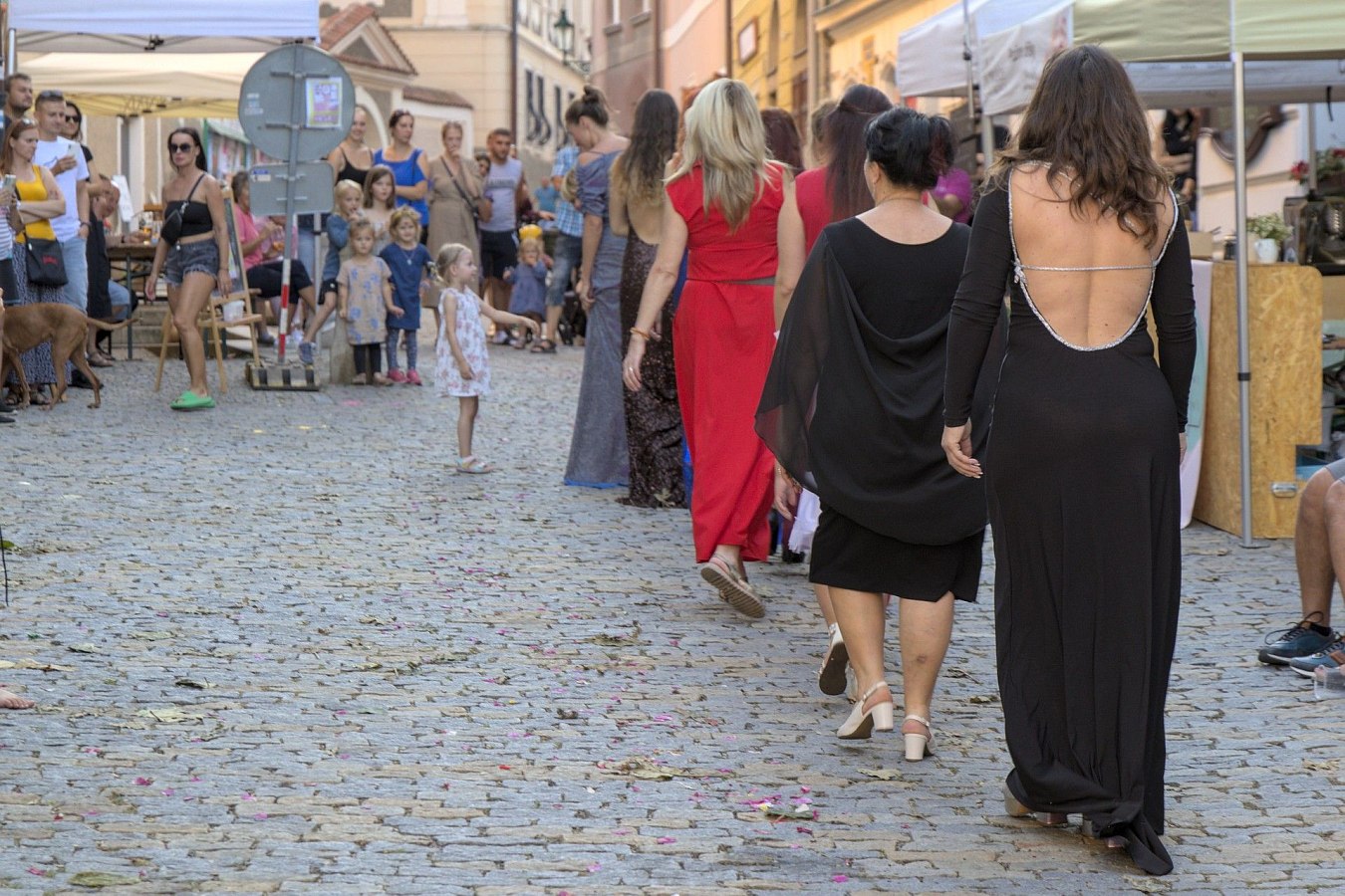IMG-8378