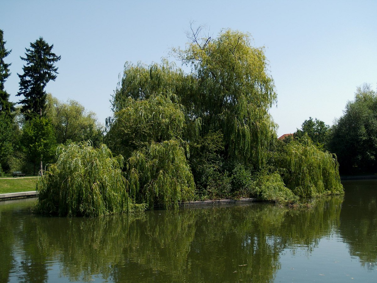 P1011289