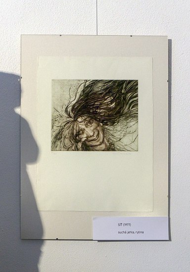 IMG-9089