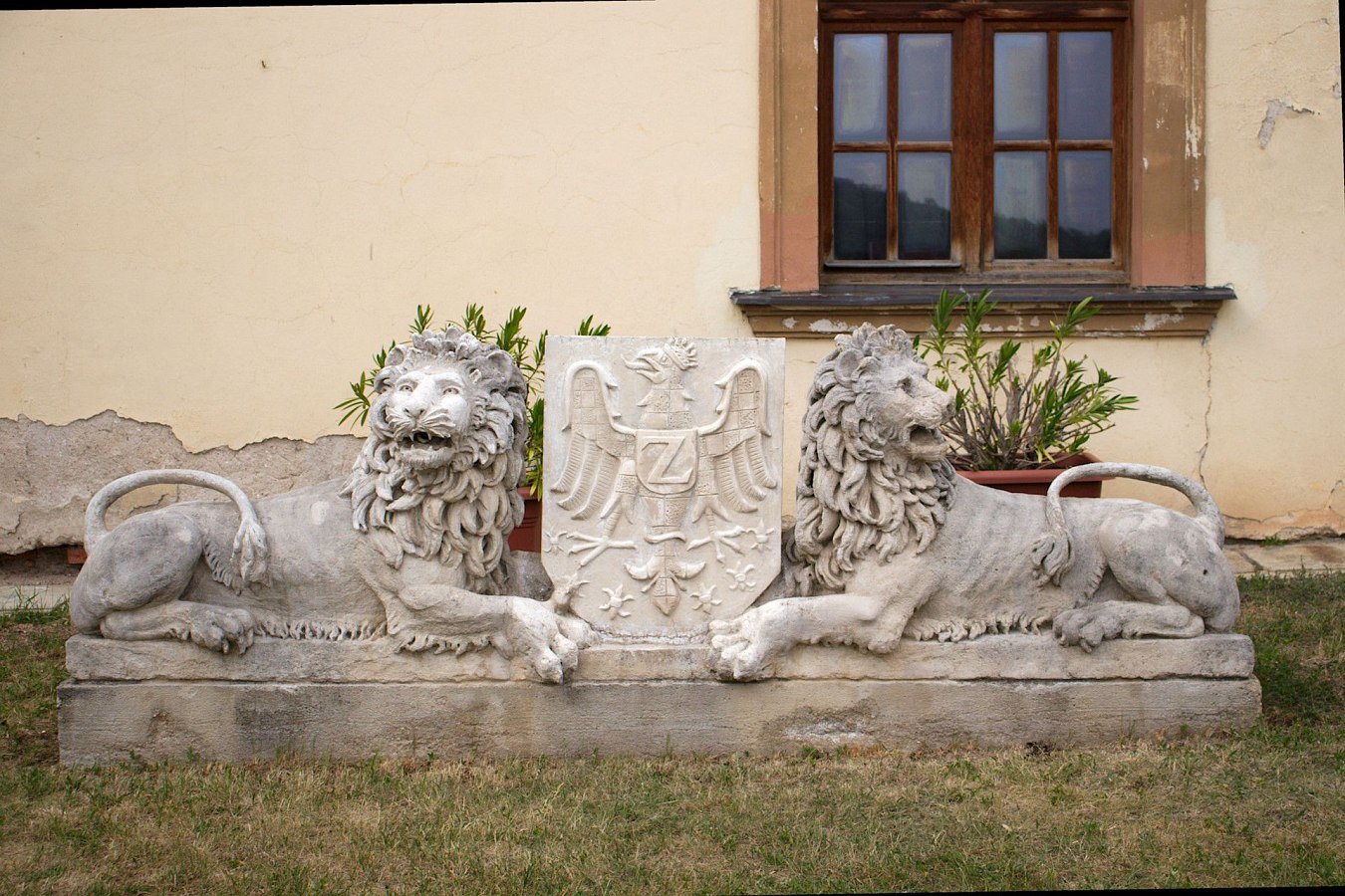 IMG-8016